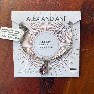 Alex and Ani Light Amethyst Crystal